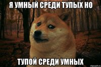 я умный среди тупых но тупой среди умных