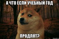 а что если учебный год продлят?