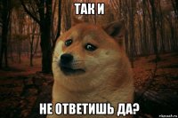 так и не ответишь да?