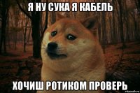 я ну сука я кабель хочиш ротиком проверь