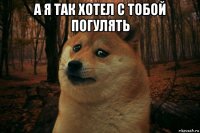 а я так хотел с тобой погулять 