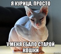 я курица, просто у меня ебало старой кошки