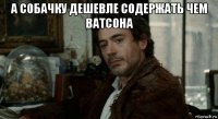 а собачку дешевле содержать чем ватсона 