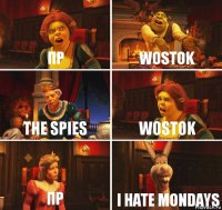 ПР Wostok The spies Wostok ПР I hate mondays