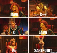 Java C++ C Java C# SarePoint
