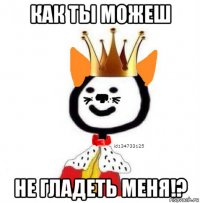как ты можеш не гладеть меня!?