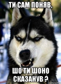 ти сам поняв, шо ти шоно сказанув ?