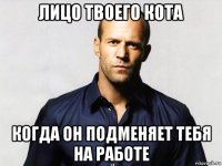 лицо твоего кота когда он подменяет тебя на работе