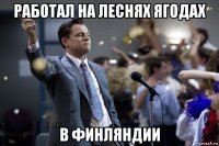 работал на леснях ягодах в финляндии