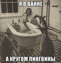 я в ванне а кругом пингвины