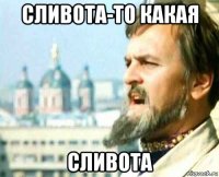 сливота-то какая сливота