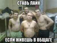 ставь лайк если живешь в общаге