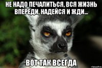 не надо печалиться, вся жизнь впереди, надейся и жди... вот так всегда