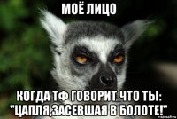 моё лицо когда тф говорит что ты: "цапля,засевшая в болоте!"