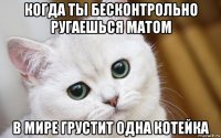 когда ты бесконтрольно ругаешься матом в мире грустит одна котейка