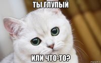 ты глупый или что-то?