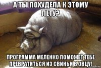 а ты похудела к этому лету? программа меленко поможет тебе превратиться из свиньи в овцу!