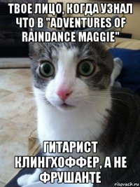 твое лицо, когда узнал что в "adventures of raindance maggie" гитарист клингхоффер, а не фрушанте