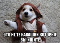  это не те какашки,которые вы ищите