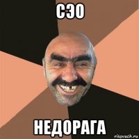 сэо недорага