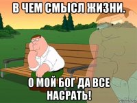 в чем смысл жизни. о мой бог да все насрать!