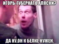 игорь-губернато аляски? да ну,он к белке нужен.