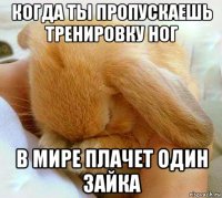 когда ты пропускаешь тренировку ног в мире плачет один зайка