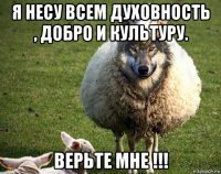 я несу всем духовность , добро и культуру. верьте мне !!!