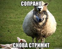 сопрано снова стримит