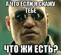 а что если я скажу тебе что жи есть?