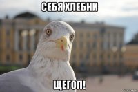 себя хлебни щегол!