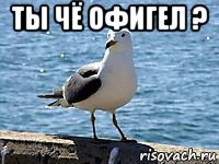ты чё офигел ? 