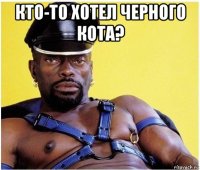 кто-то хотел черного кота? 