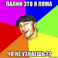 палин это я ляма чо не узнаешь??