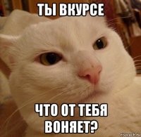 ты вкурсе что от тебя воняет?