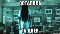 осталось 16 дней