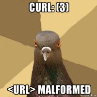 curl: (3) <url> malformed