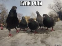 гули гули 