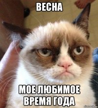 весна мое любимое время года