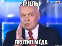 пчёлы против мёда