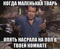 когда маленькая тварь опять насрала на пол в твоей комнате