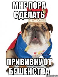 мне пора сделать прививку от бешенства