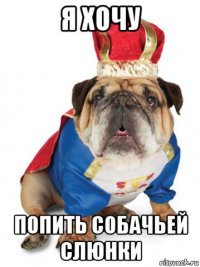 я хочу попить собачьей слюнки