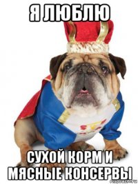 я люблю сухой корм и мясные консервы