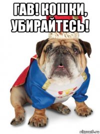 гав! кошки, убирайтесь! 