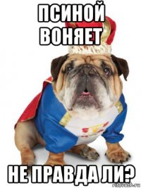 псиной воняет не правда ли?