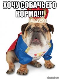 хочу собачьего корма!!! 