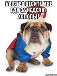 быстро несите мне еду за неделю, холопы! 