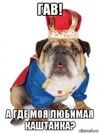 гав! а где моя любимая каштанка?
