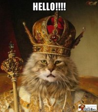 hello!!!! 